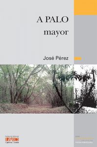 A palo mayor